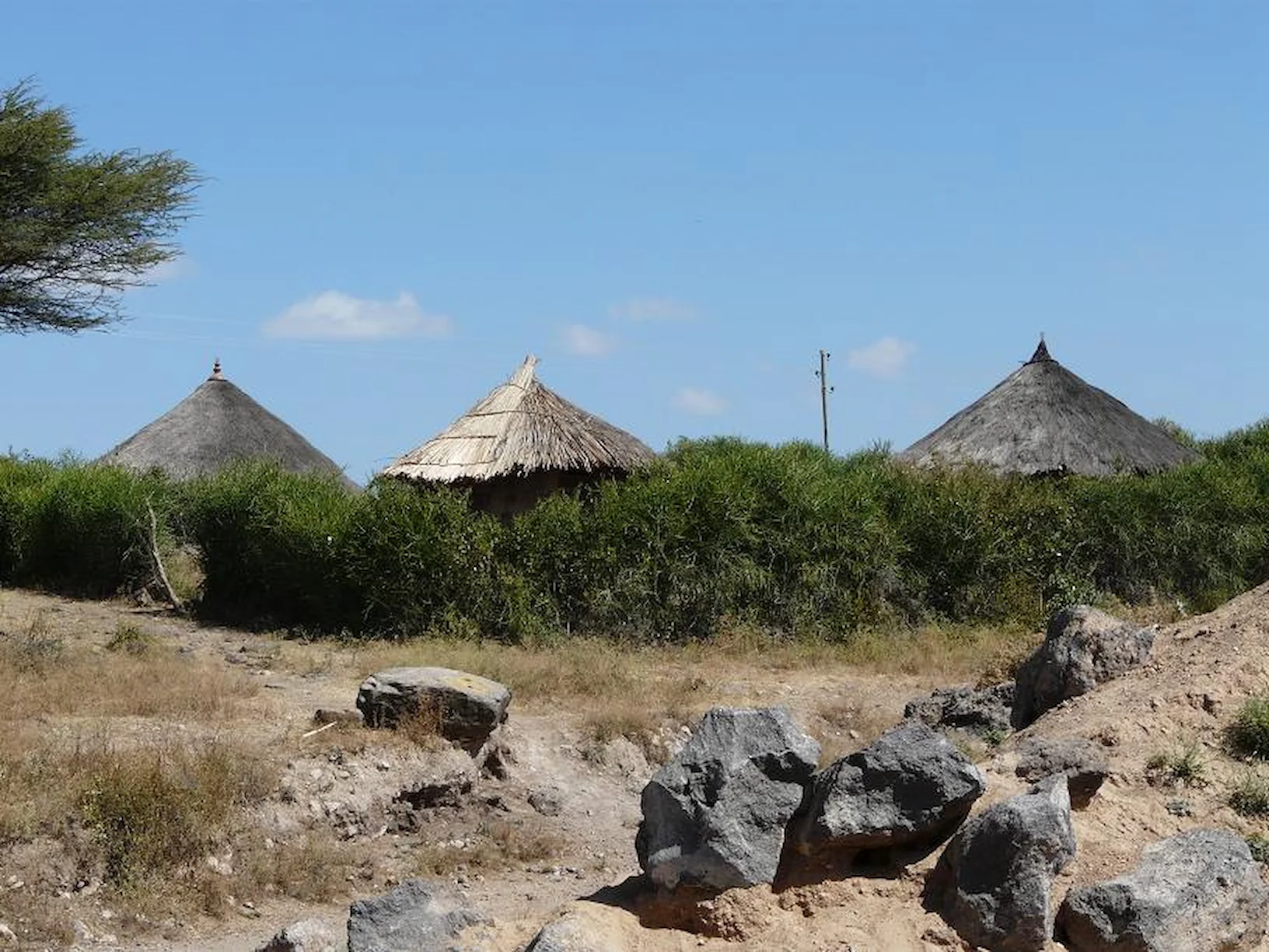 Nazreth & Sodere Tour