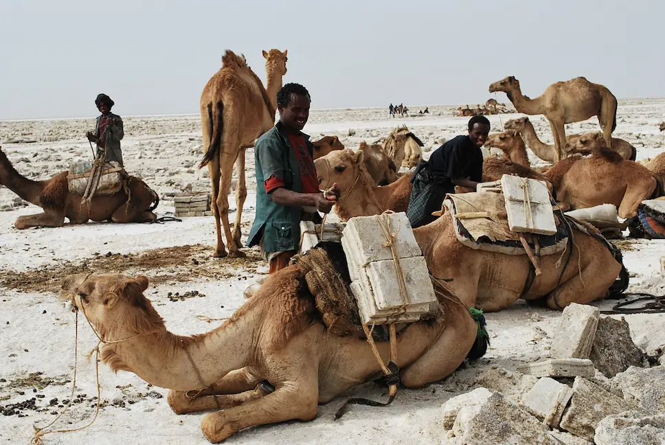 Djibouti - Ethiopia Combination Tour