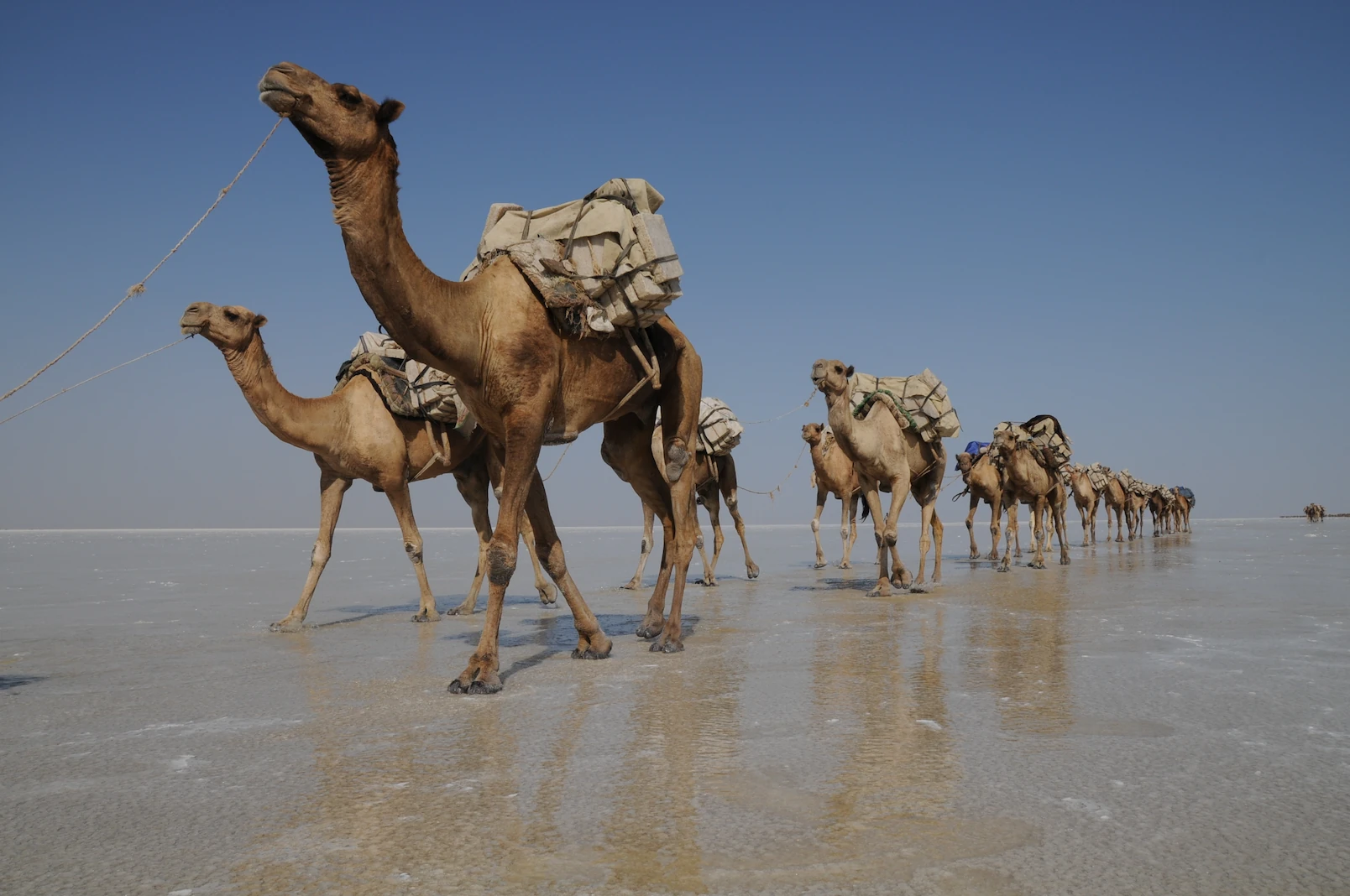 Omo Valley - Surma Combination