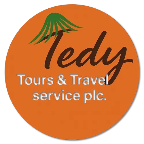 Teddy Tours Logo